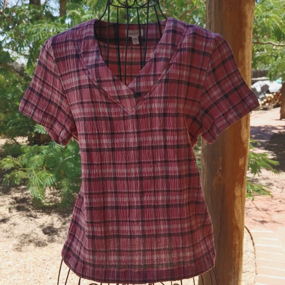 Garnet Hill top